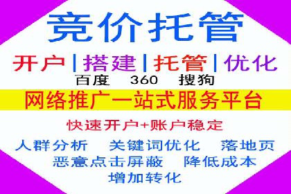 SEM外包服务应用案例分析